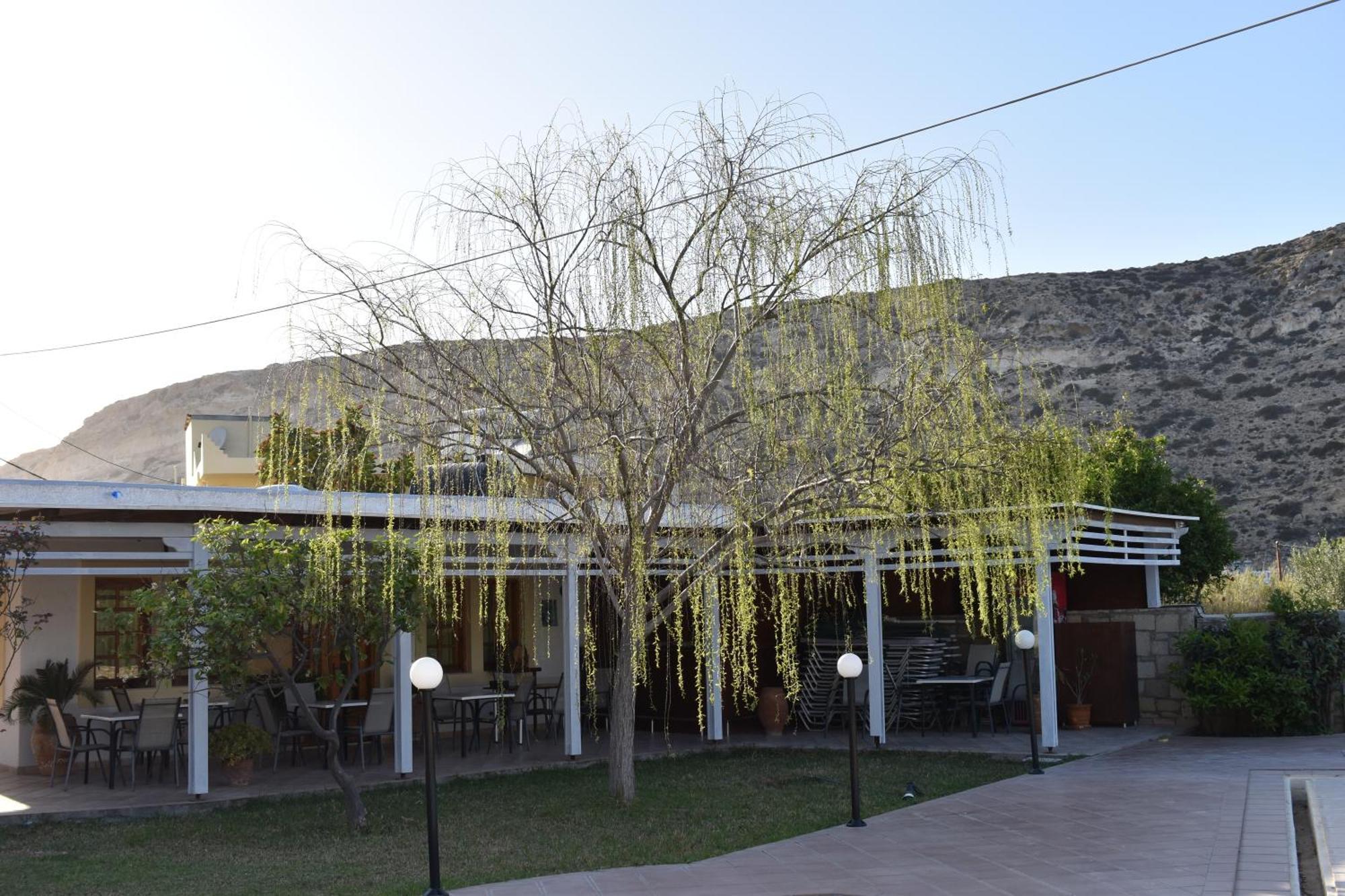 Dimitris Villa Hotel มาตาลา ภายนอก รูปภาพ