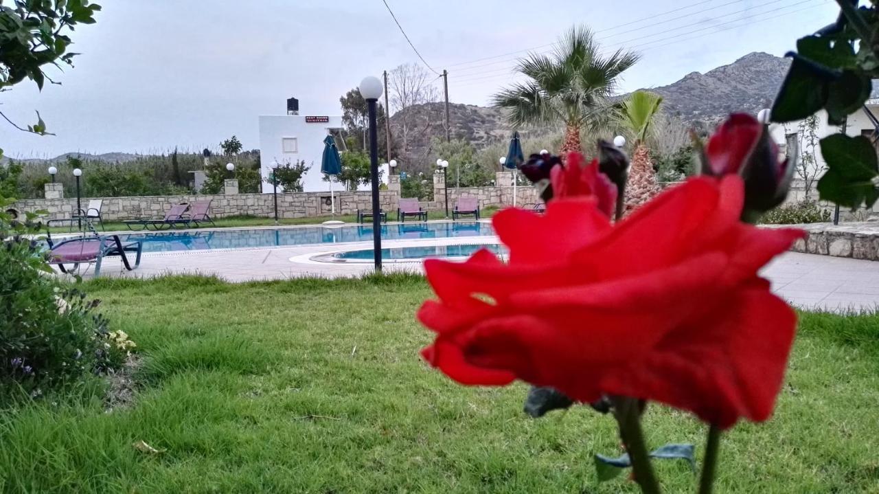 Dimitris Villa Hotel มาตาลา ภายนอก รูปภาพ